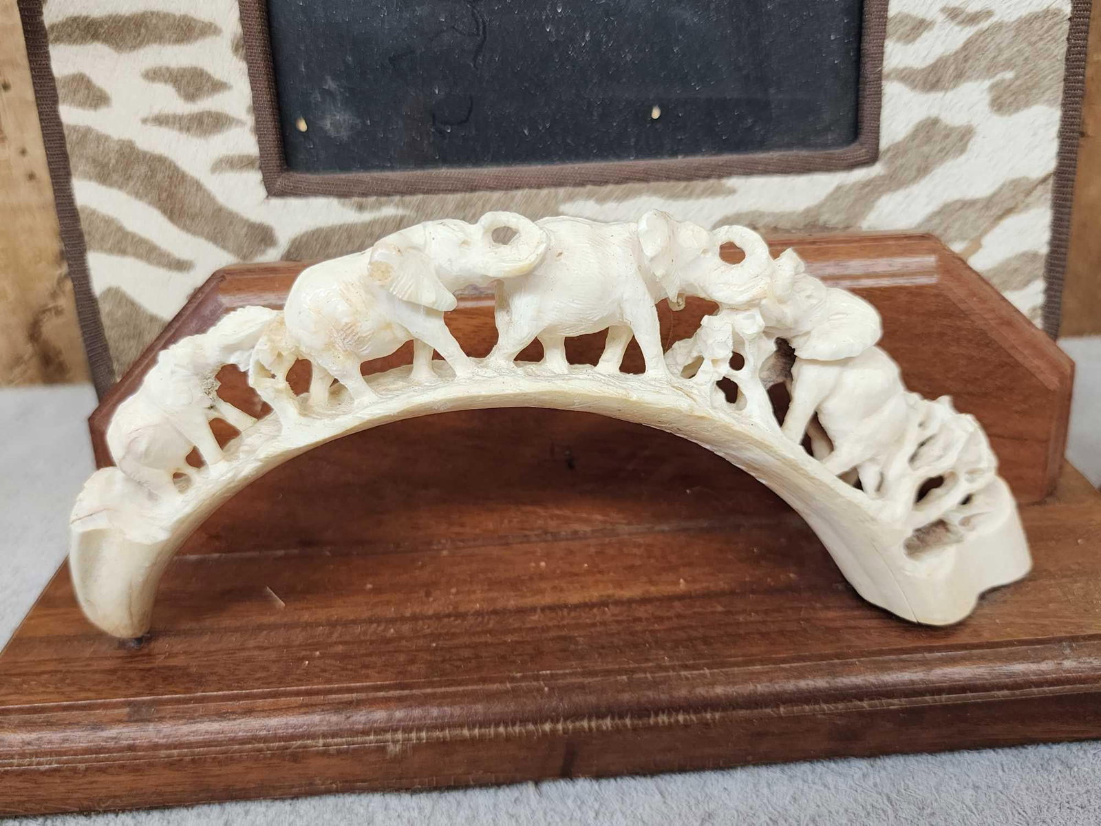 Hand Carved African Warthog Tusks Lot (1 of 7)
