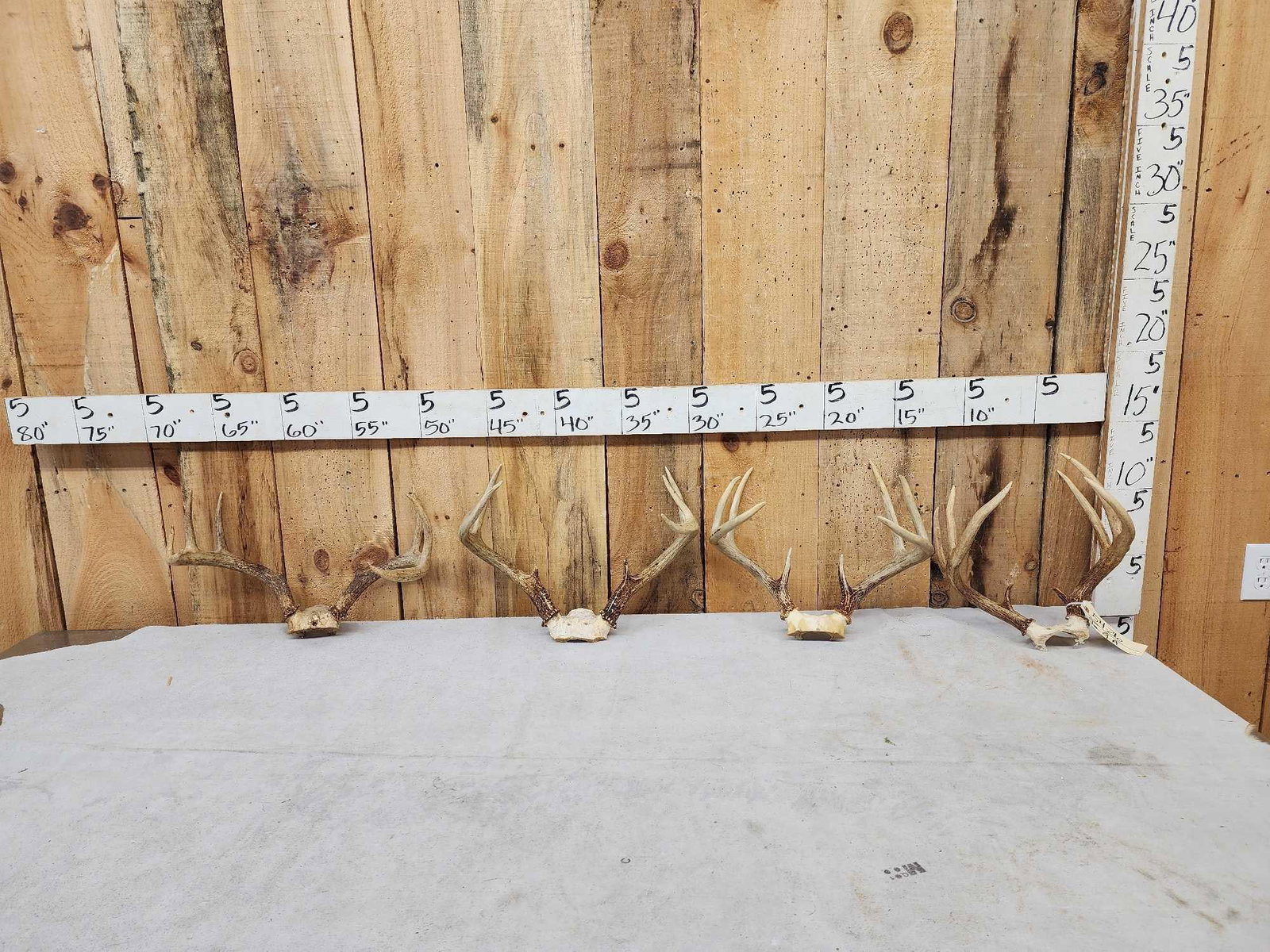 4 Sets Of Whitetail Antlers On Skull Plate: 54.26 Great for crafts or decor