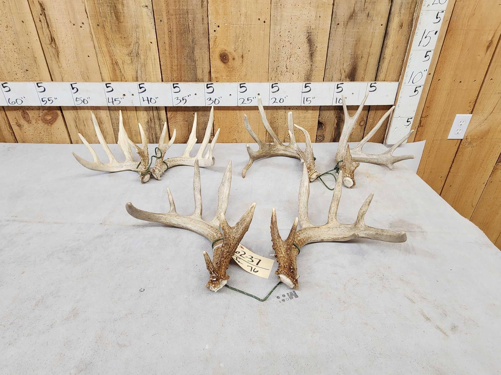 3 Sets Of Whitetail Shed Antlers (1 of 4)