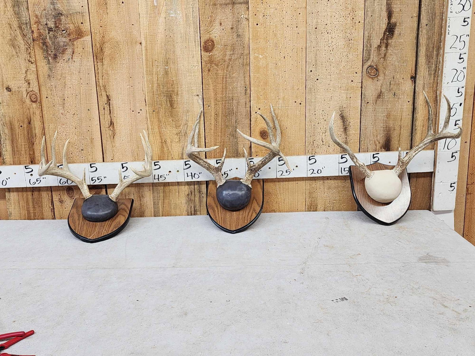 3 Sets Of Whitetail Antlers On Plaques: 49.207 Great for crafts or decor