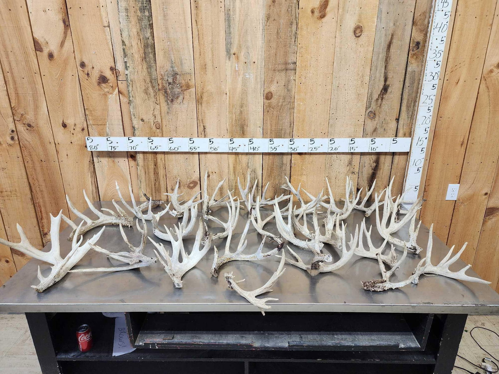 31.6 Lbs Of Whitetail Cut Off Antlers (1 of 6)