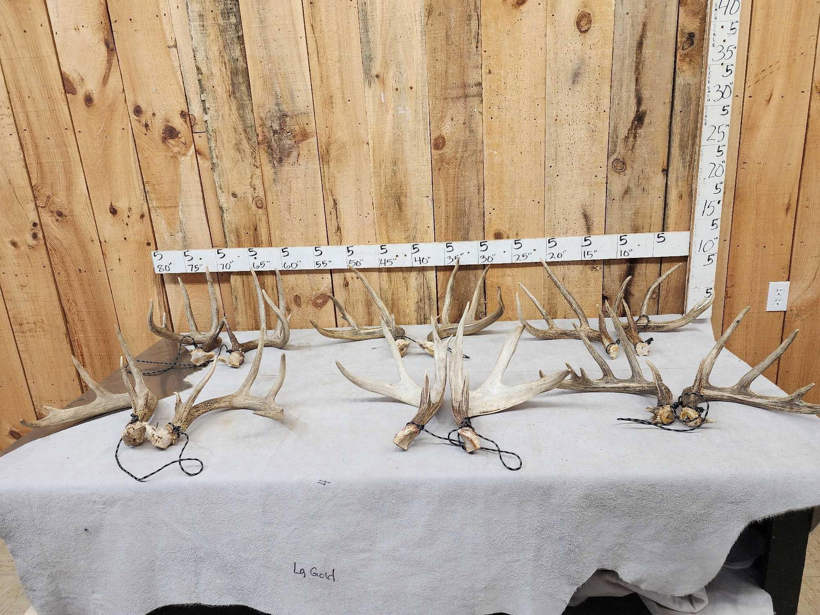 6 Matched Sets Of Whitetail Antlers: 60.100 All bigger antlers Salvaged from old mounts one money buys the lot 23.3 Lbs