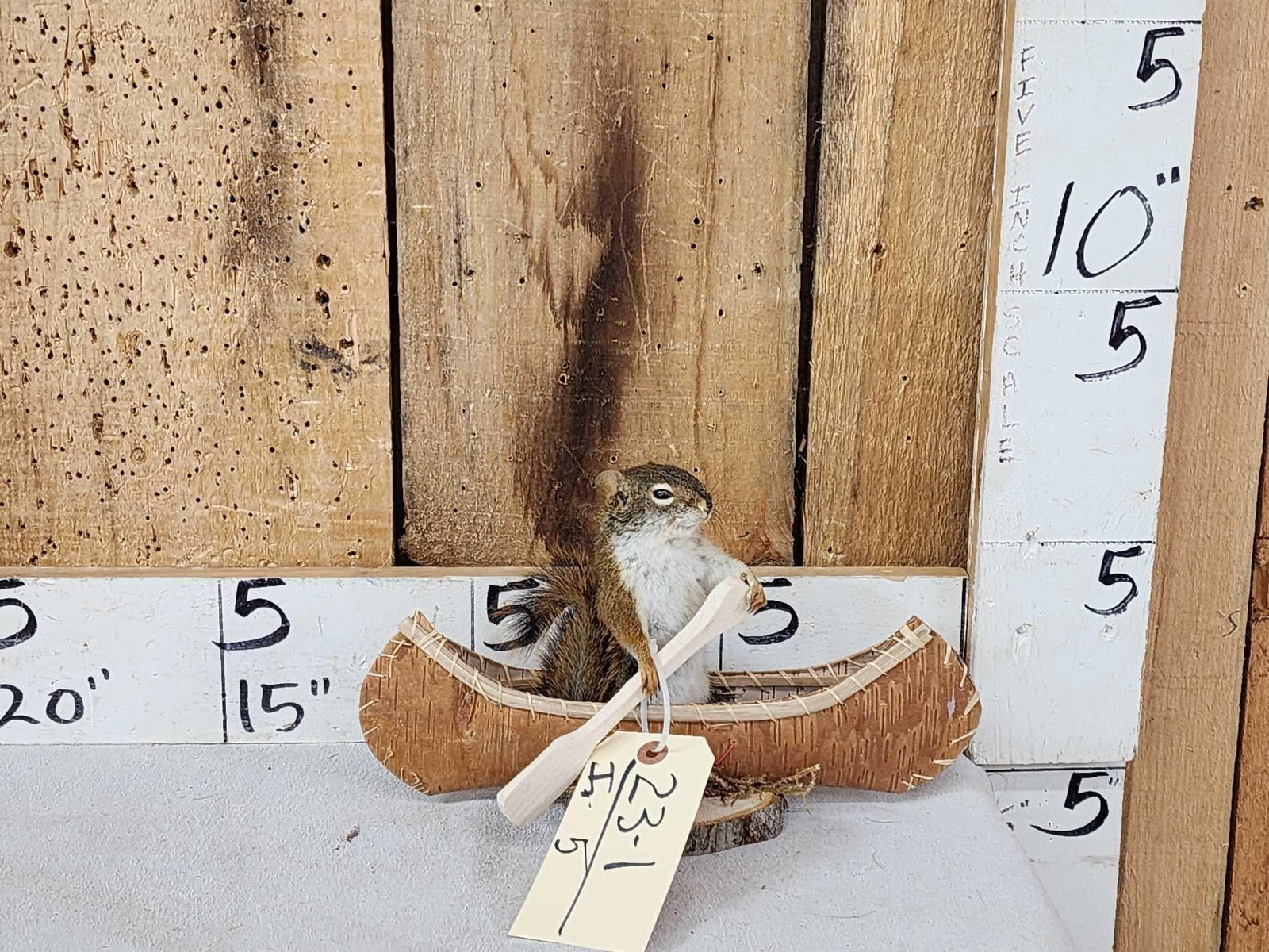Squirrel In A Birch Bark Canoe Taxidermy (1 of 4)