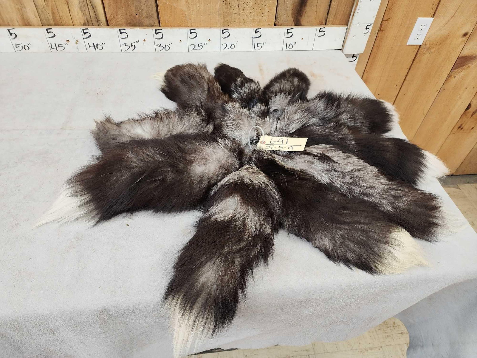 10 Silver Ranch Fox Tails Taxidermy: 6.91 Big bushy tails awesome colors new tan