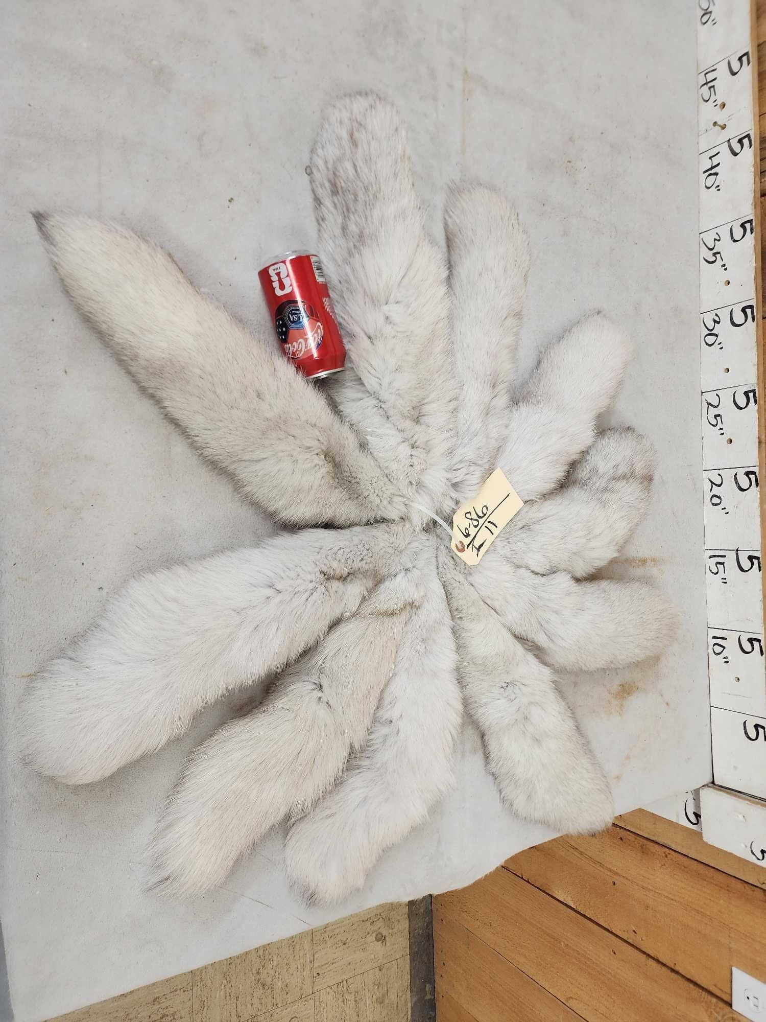10 Blue Ranch Fox Tails Taxidermy: 6.86 Brand new tan bug bushy tails awesome colors Unbelievably soft fur