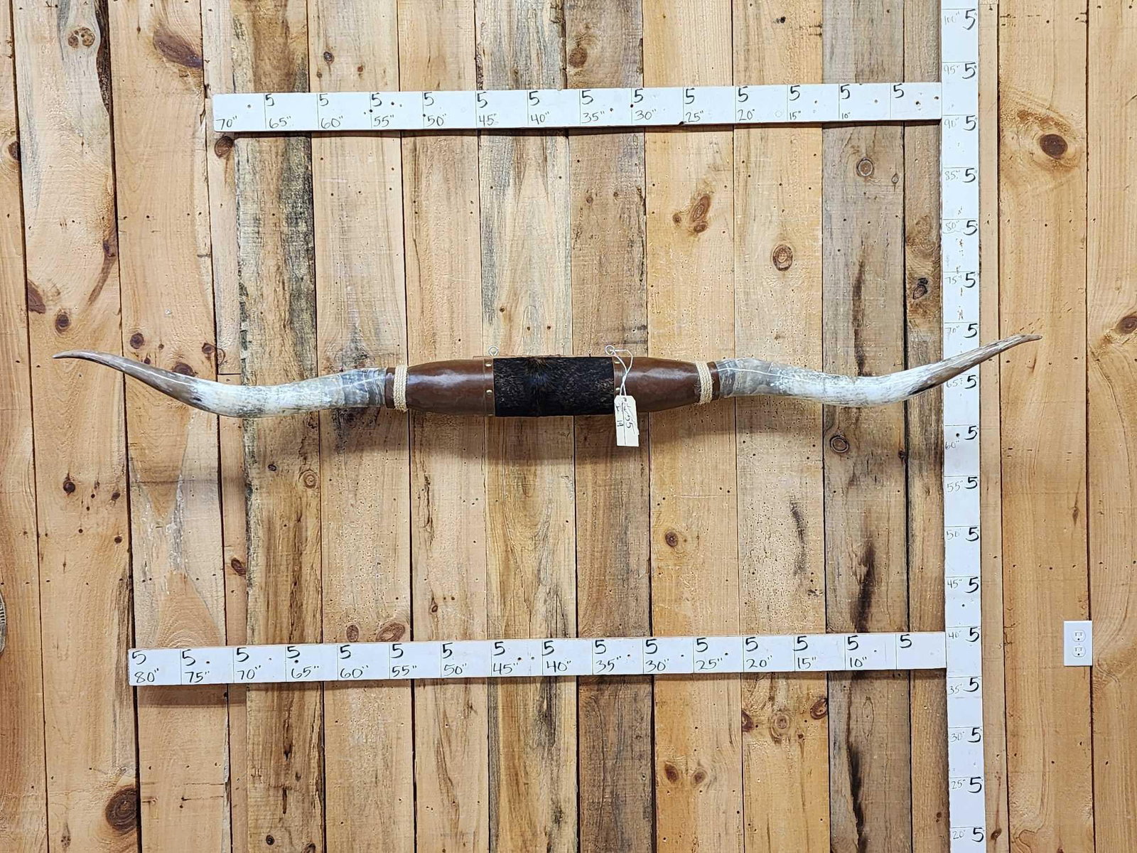 Monster 89" Wide Set Of Texas Longhorns Taxidermy (1 of 4)