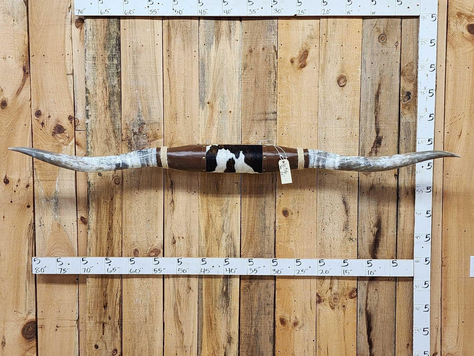 89" Wide Set Of Texas Longhorns Taxidermy (1 of 4)