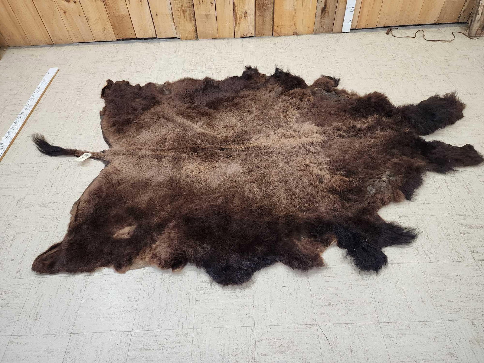 Big Soft Tanned American Bison Buffalo Robe Taxidermy: 20.37 Thick shaggy hair good colors with tail nice tan overall about 136" long x 87" wide