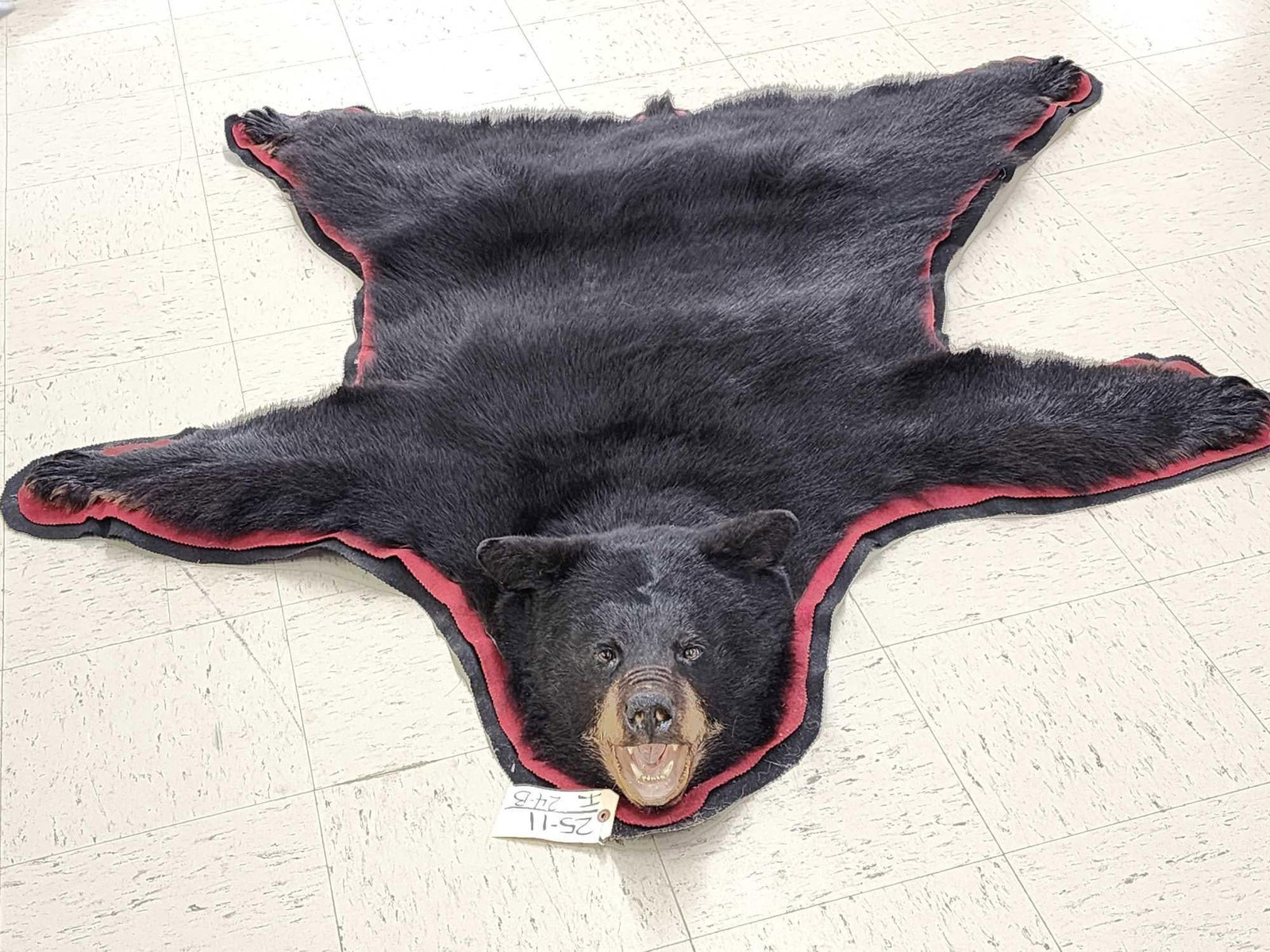 Black Bear Rug Taxidermy: 25.11 Nicely done rug great accent piece for smaller spaces thick prime fur claws intact double felt edges about 71" long x 16" wide