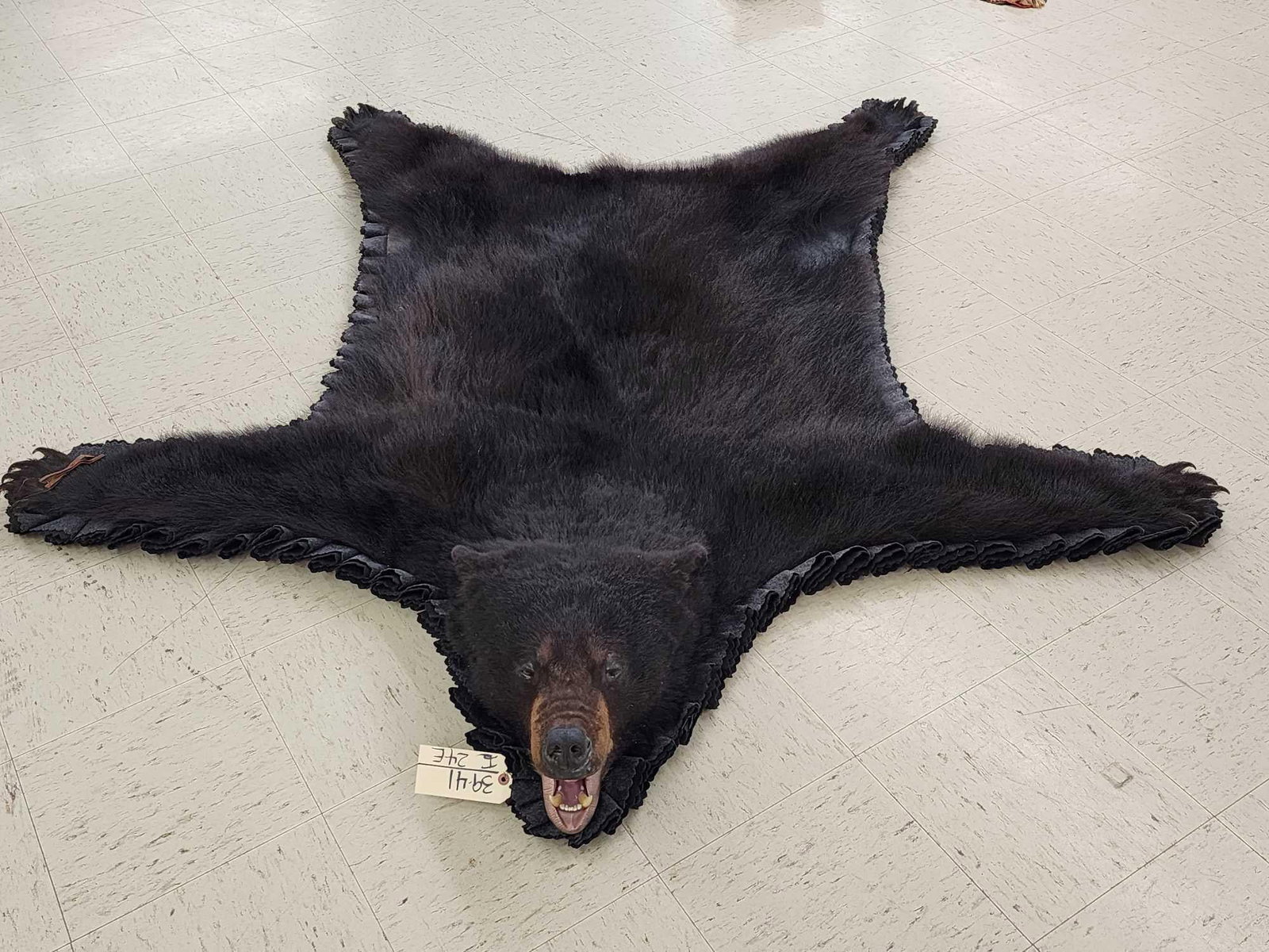 Black Bear Rug Taxidermy: 39.41 Thick prime fur claws intact Gathered felt edges durable padded backing nice facial features Nicely done rug about 83" long x 75" wide