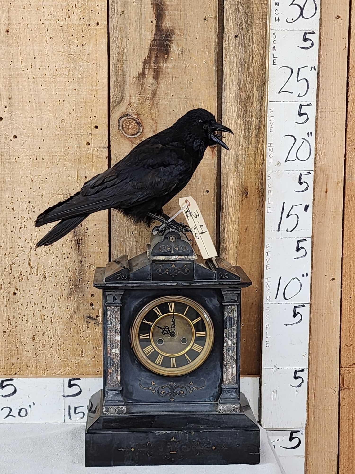 European Carrion Crow On An Antique Mantle Clock: 3.4 Awesome Gothic look this piece puts off a serious Edgar Allen Poe vibe NOTE WE will not ship this piece delivery or local pickup only