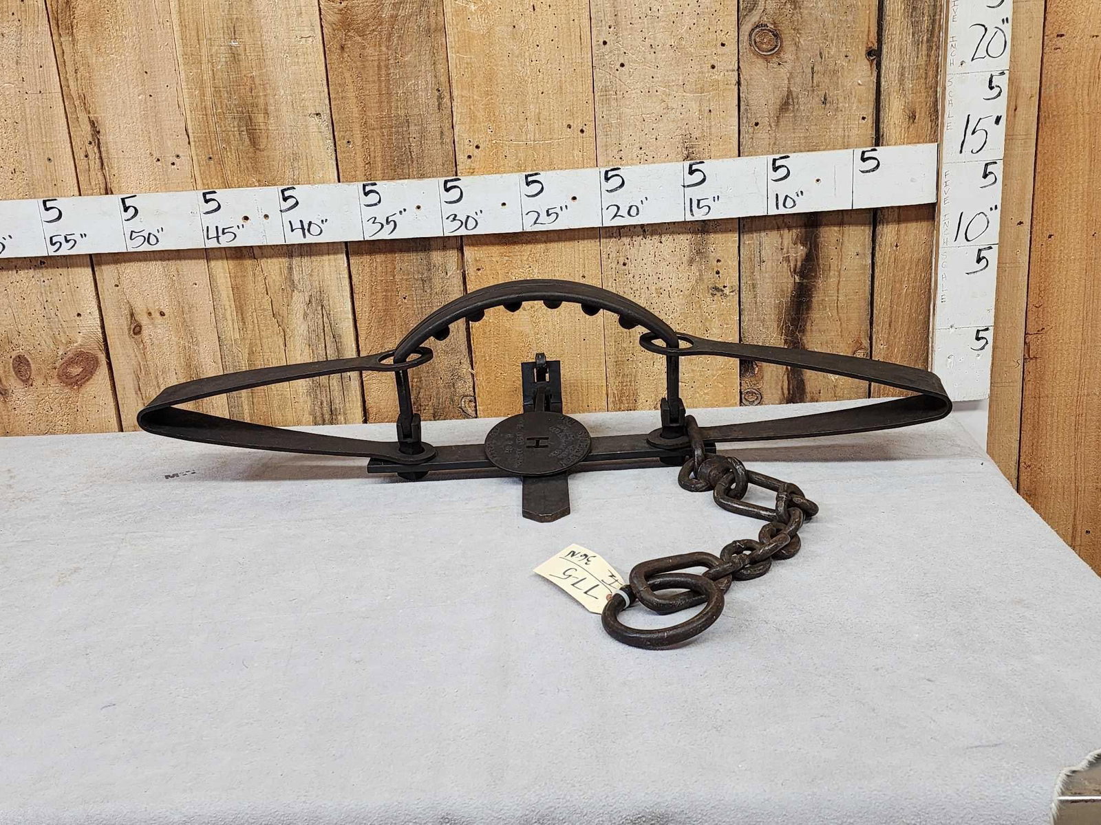 Herter's Hudson Bay #41 A X Kodiak Bear Trap: 77.5 With teeth crisp legible cast iron pan with chain swivel nice trap