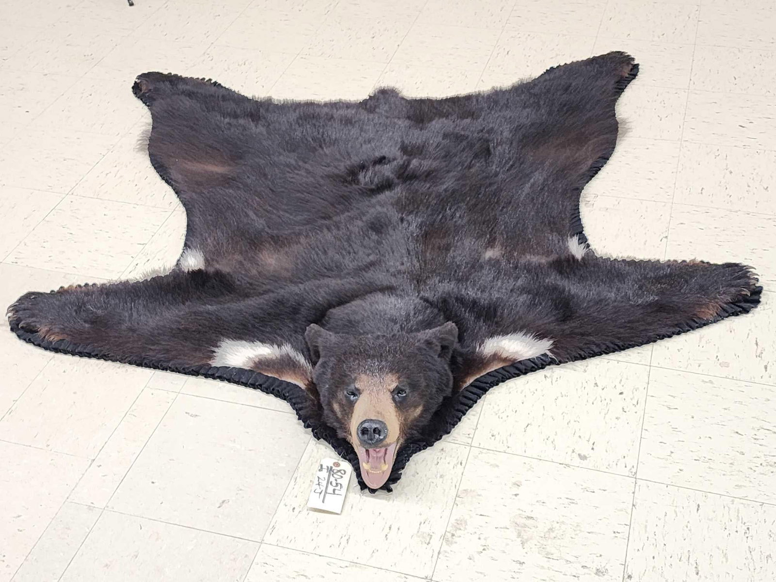 Extra Nice Black Bear Rug Taxidermy: 80.54 Great facial features awesome colors Gathered felt edges durable backing claws intact overall dimensions about 71" long x 65" wide