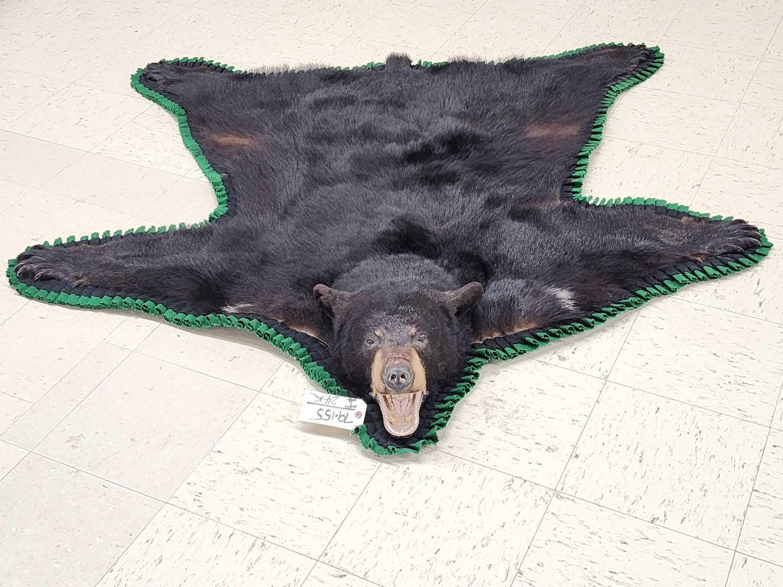 Nice Black Bear Rug Taxidermy (1 of 10)