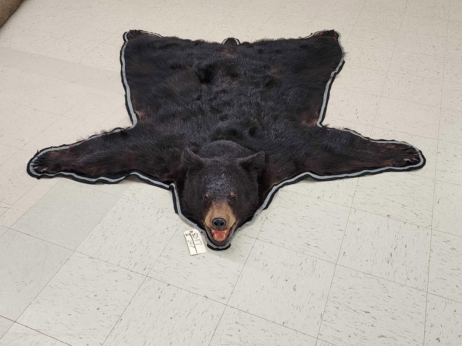 Black Bear Rug Taxidermy (1 of 11)