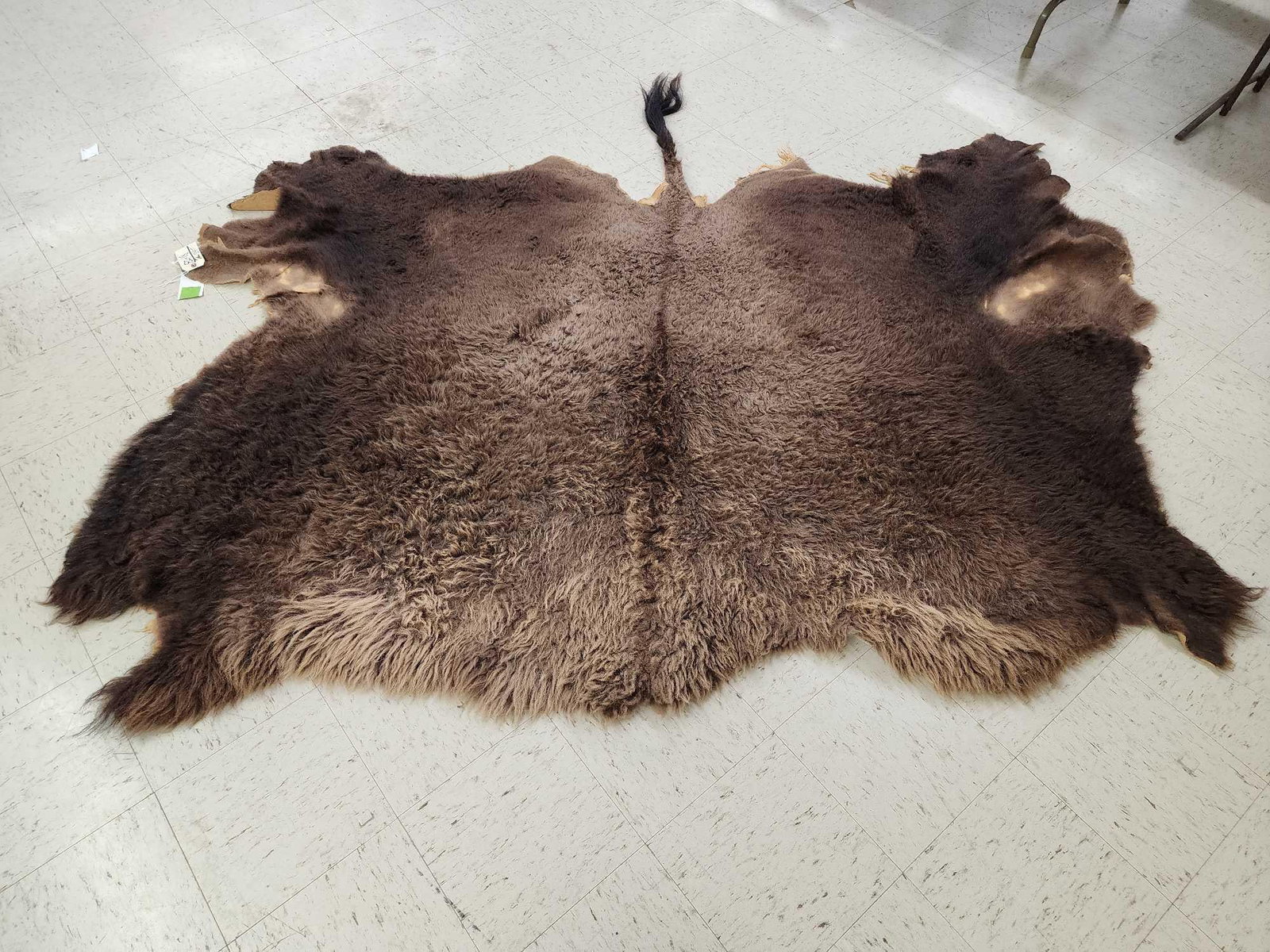 Soft Tanned American Bison Buffalo Robe Taxidermy (1 of 4)