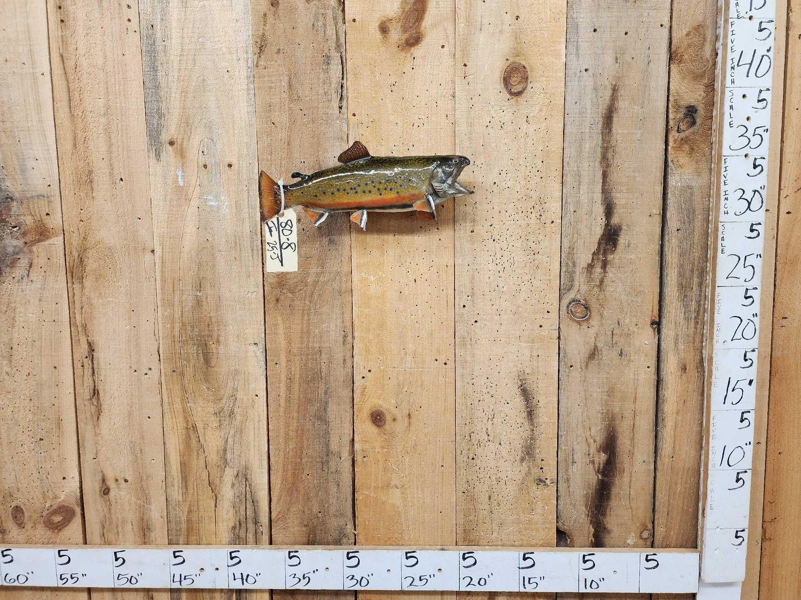 17" Brook Trout Real Skin Fish Taxidermy (1 of 4)