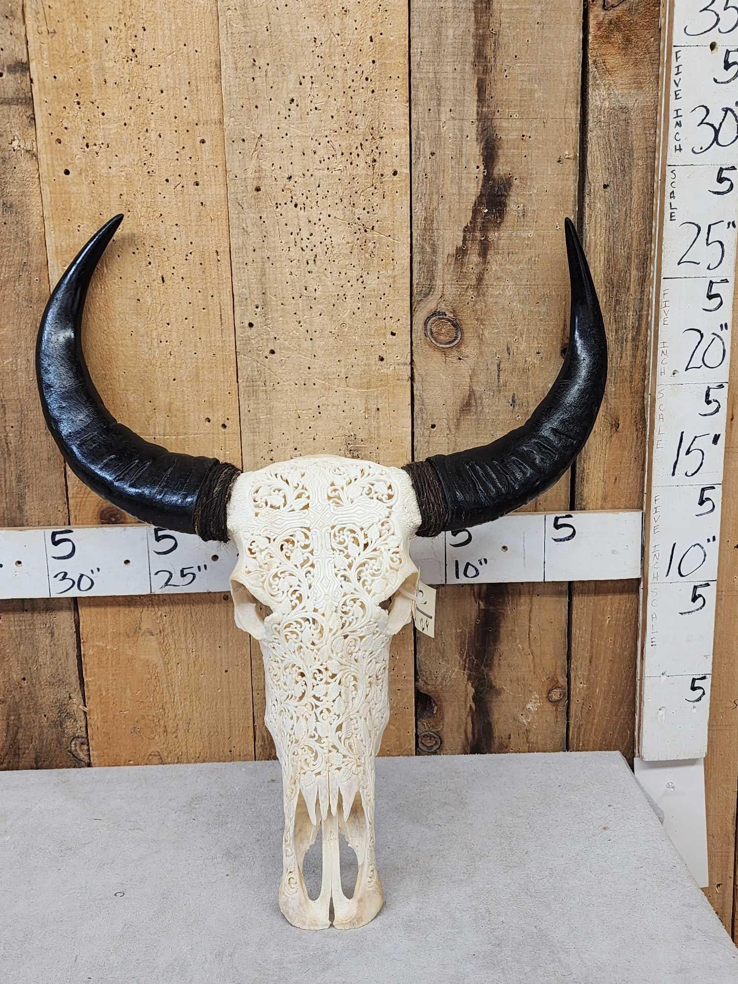Carved Water Buffalo Skull Taxidermy: 86.22 Professionally cleaned whitened with intricate detailed hand carving Detachable horns for easy shipping