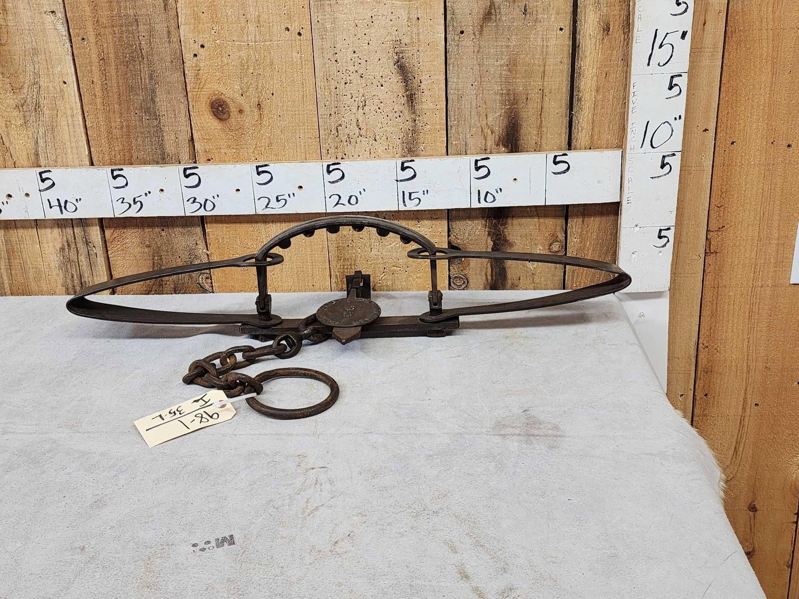 S. Newhouse #5 Kenwood Bear Trap: 98.1 Mfg 1895-1905 stamped springs legible cast iron pan with chain swivel