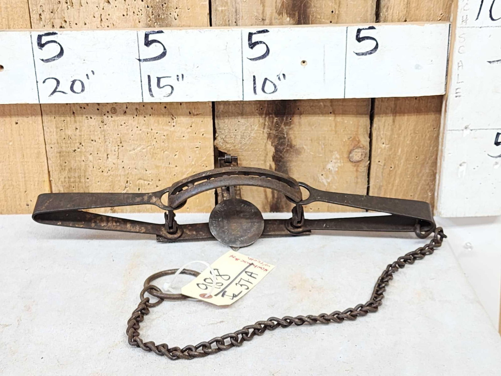 Oneida Newhouse Animal Trap Company #14 Double Long Spring Trap (1 of 3)