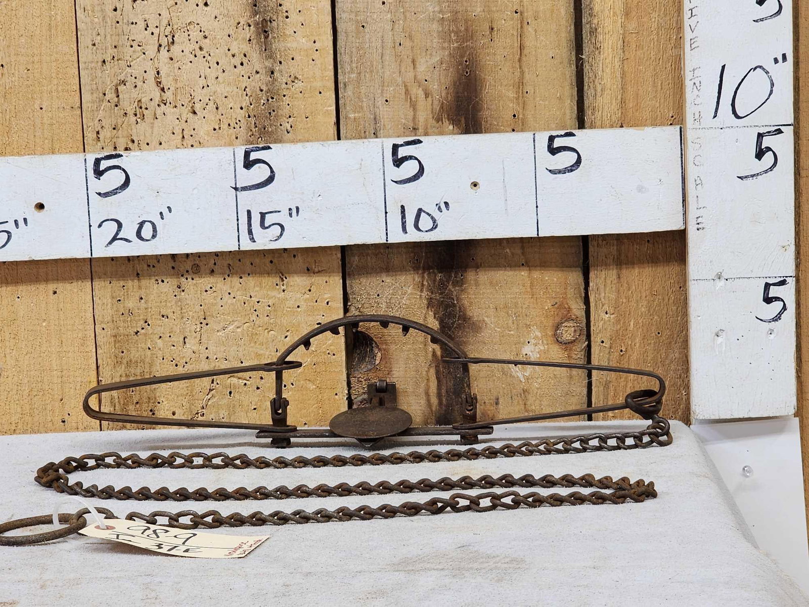 Oneida Newhouse Animal Trap Company # 48 Double Long Spring Trap With Teeth (1 of 8)