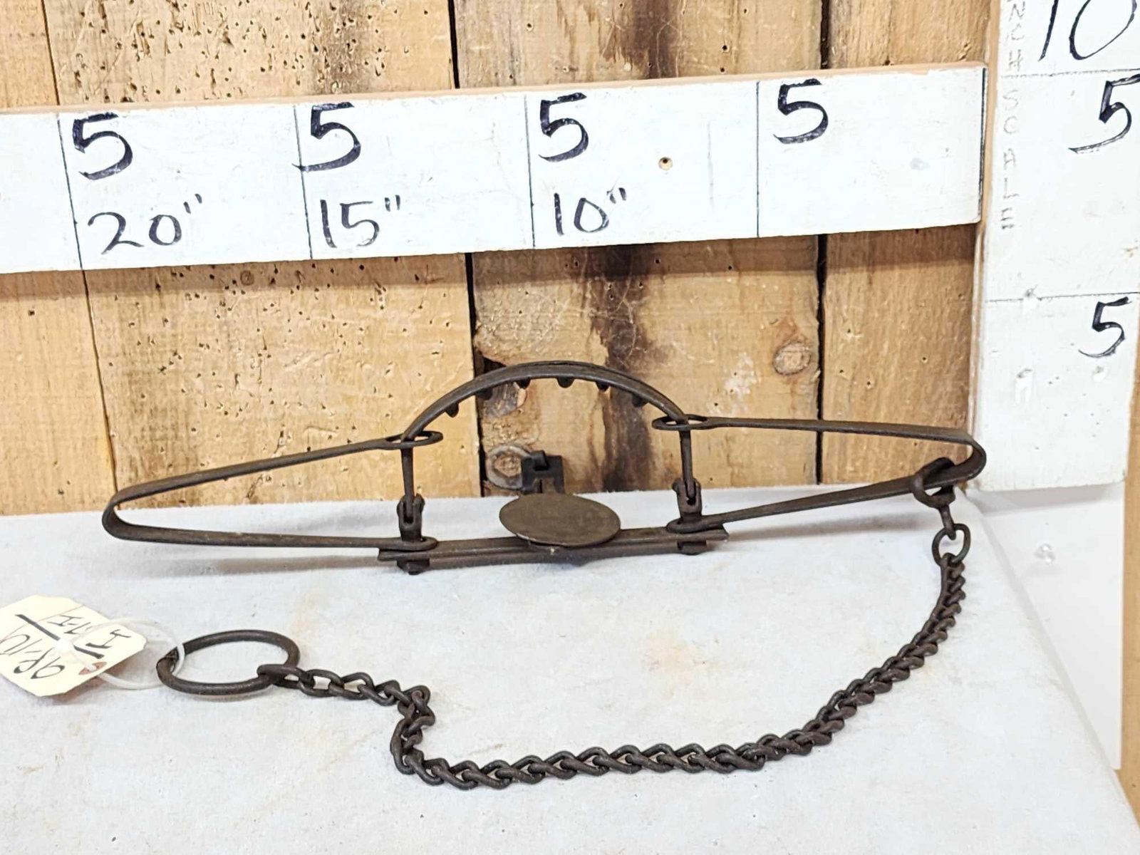 Oneida Newhouse Animal Trap Company #14 Double Long Spring Trap (1 of 7)
