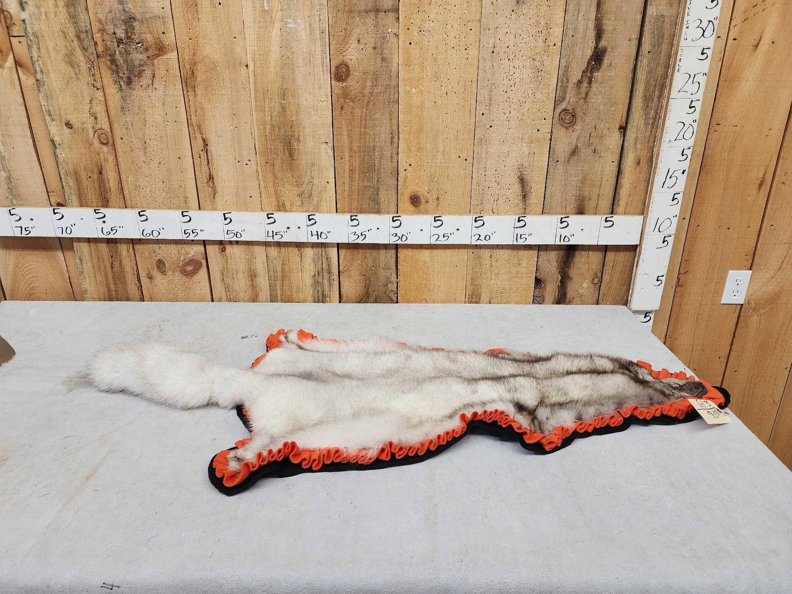 Blue Ranch Fox Rug Taxidermy: 107.16 Awesome THICK soft fur great colors Gathered felt edges