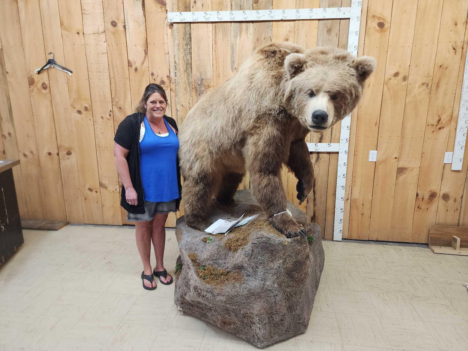 Record Book Eurasian Brown Bear Full Body Taxidermy Mount: 33.129 Harvested in Romania 1994 this monster was the #1 at the time with an SCI Score of 24 8/16" Amazing THICK prime fur big claws on this spring harvest bear !Take advantage of this opportunity to 