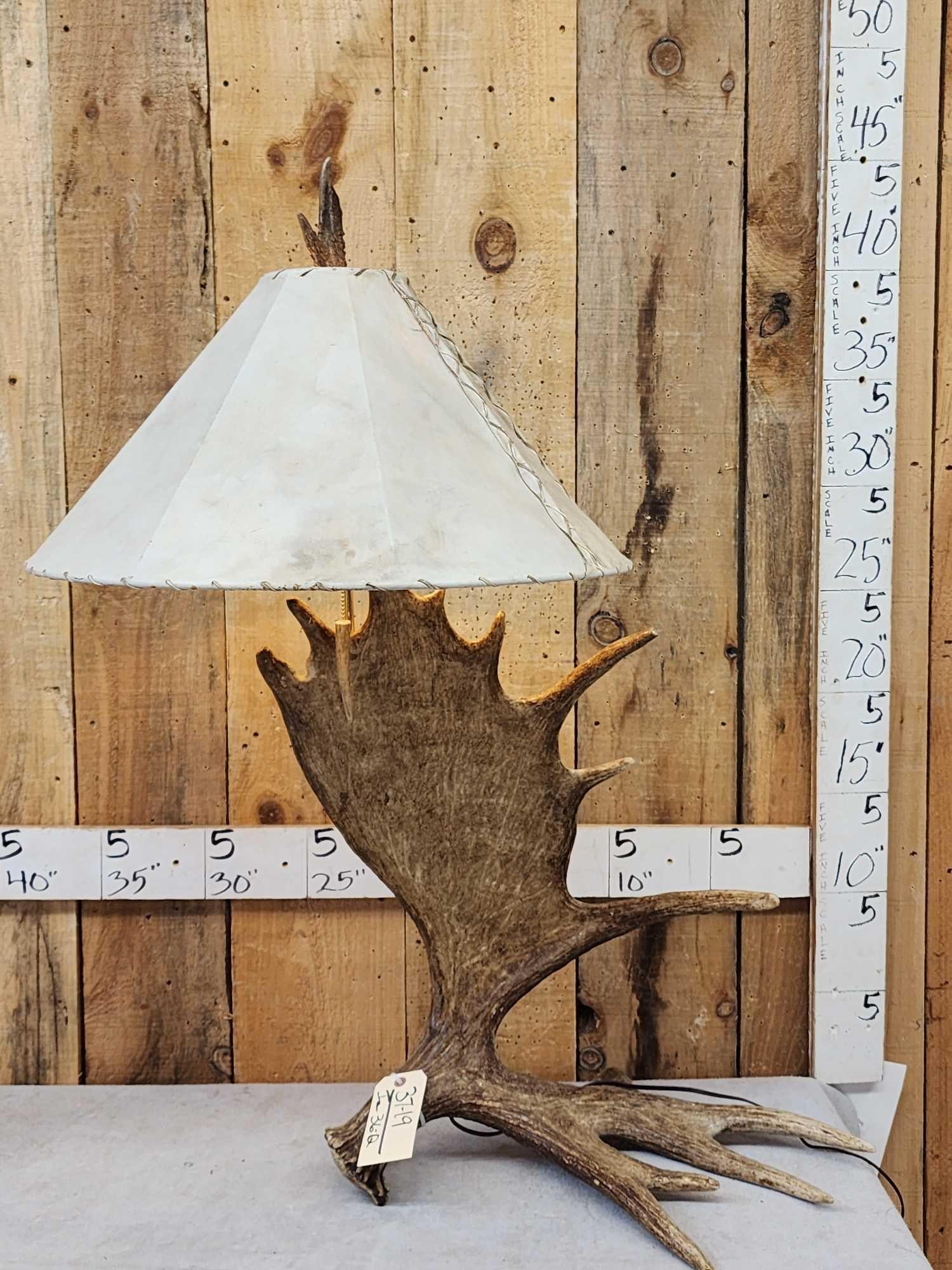 Spectacular Self Standing Moose Shed Antler Lamp (1 of 5)