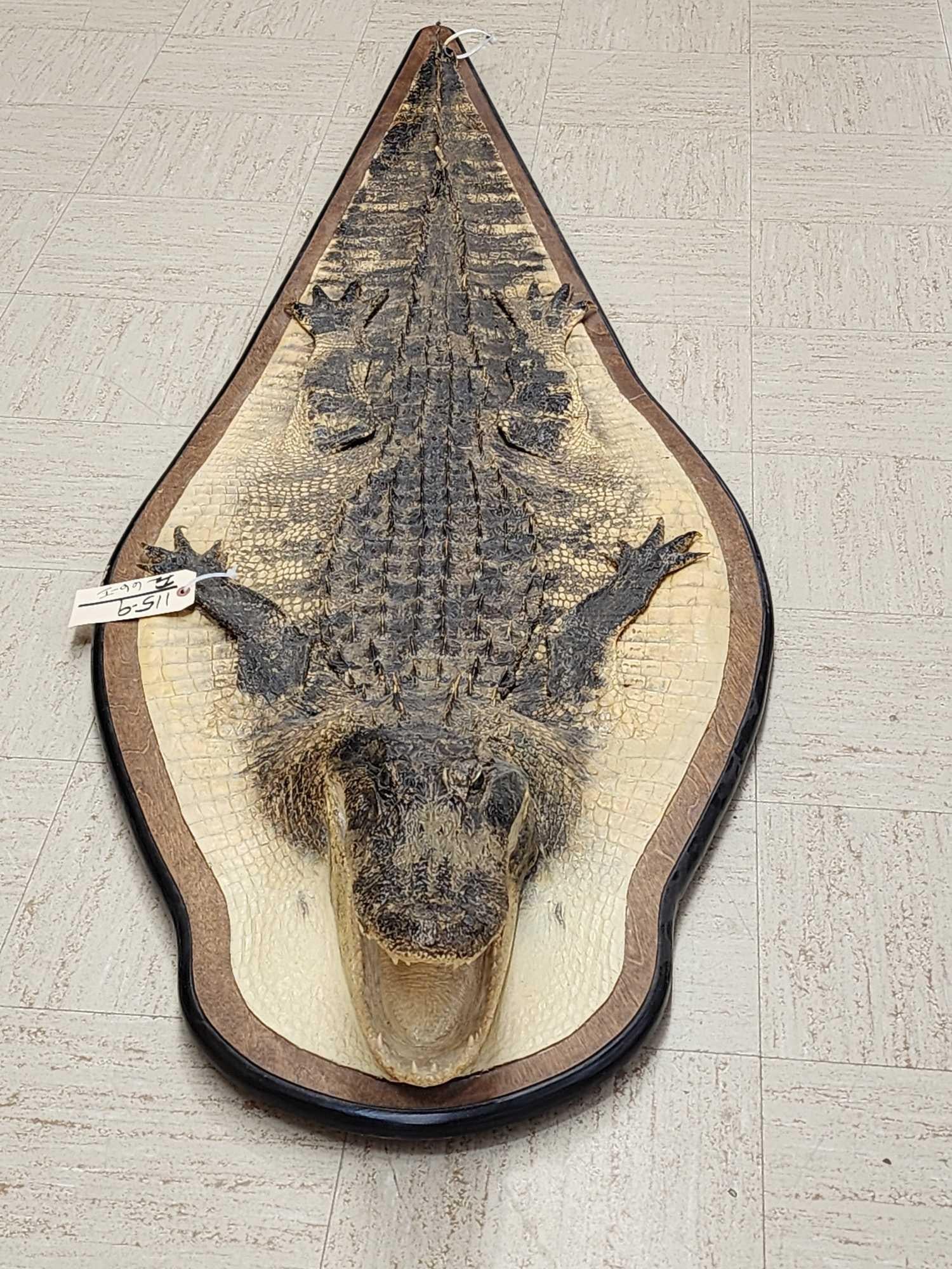 Alligator Rug On Wood Display (1 of 5)