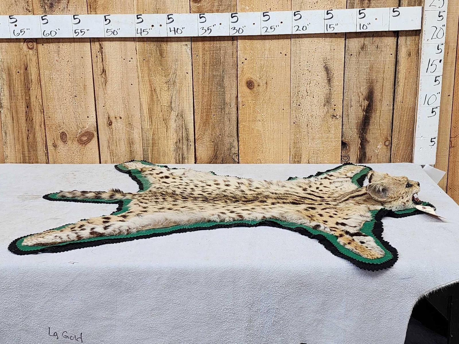 African Serval Cat Rug Taxidermy (1 of 7)