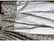 Soft Grey Linen Print Panels - 6