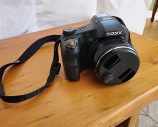 Sony digital camera (1 of 2)