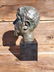 Bronze Bust - 2