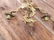 Beautiful Bronze Sconces - 3