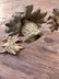 Beautiful Bronze Sconces - 5