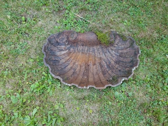 Scallop shell bird bath (1 of 2)