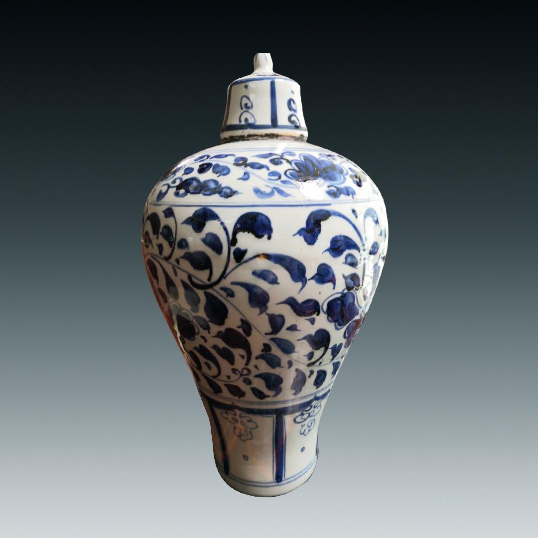 A BLUE AND WHITE VASE (1 of 1)