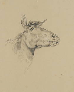 F.LOSSOW(*1837), Study of a neighing horse, 19th: Friedrich Lossow (1837 M&#252;nchen - 1872 M&#252;nchen), Study of a neighing horse, 19th century, Pencil drawing with white heightening Technique: Pencil drawing with white heightening on paper Size: