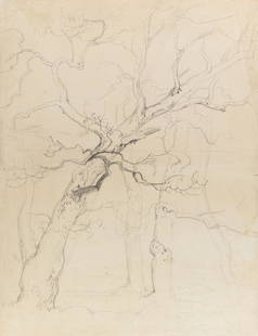 C. EBERT (1821-1885), Winter tree study, Pencil: Carl Ebert (1821 Stuttgart - 1885 Munich): Winter tree study, 19th century, Pencil Technique: Pencil on Paper Inscription: Verso inscribed by another person: "Ebert". Date: 19th century Description: