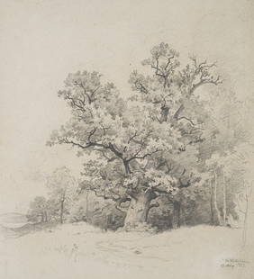 C. MÜLLER (1839-1904), Oak at the edge of the forest, 1873, Pencil: Carl Wilhelm M&#252;ller (1839 Dresden - 1904 ibid.): Oak at the edge of the forest, 1873, PencilTechnique: Pencil on Paper (grey)Inscription: Lower right signed: "Ce We M&#252;ller.".