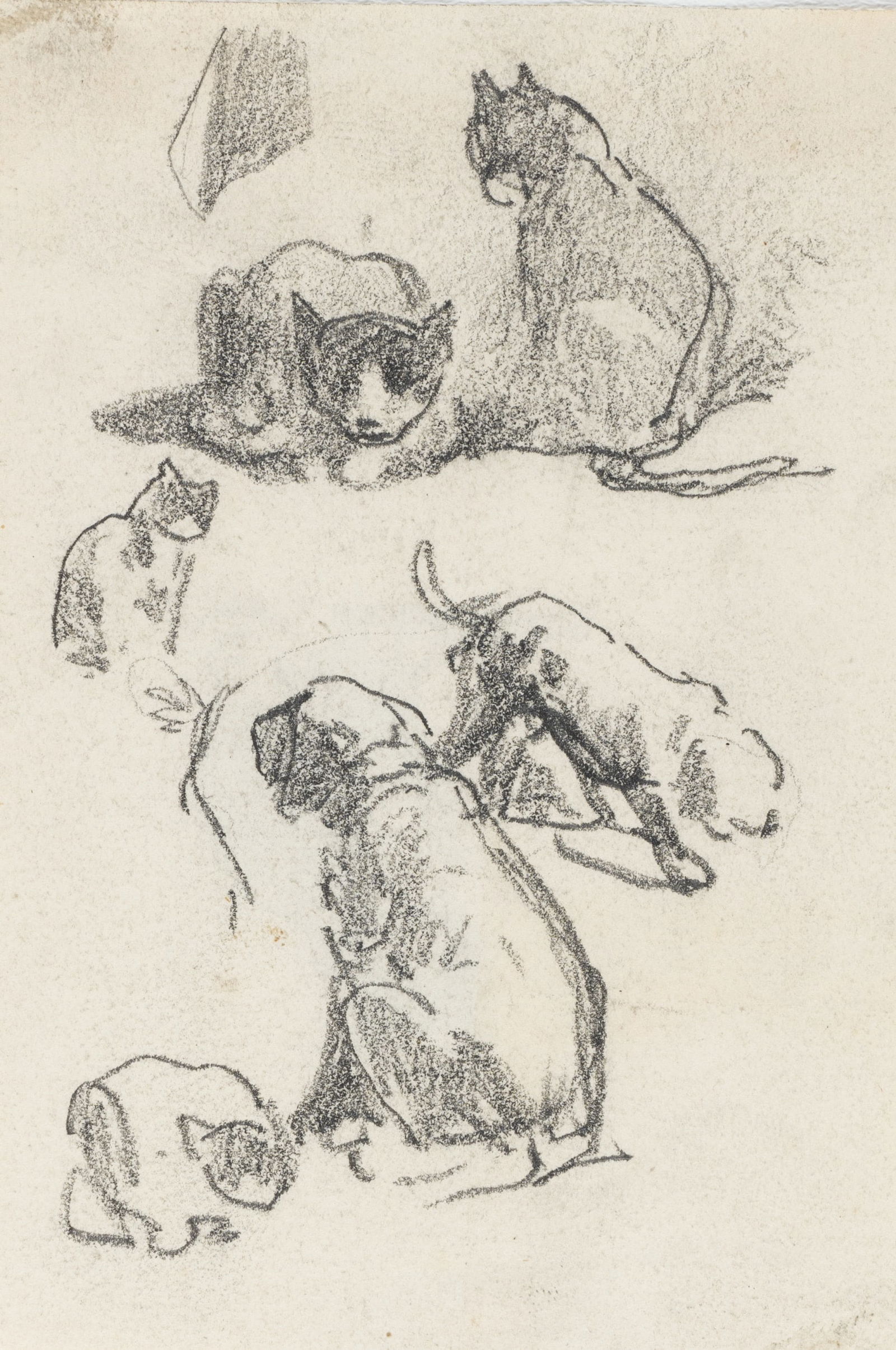 C. HOGUET (1821-1870), Study sheet with cats, Charcoal: Charles Hoguet (1821 Berlin - 1870 ibid.): Study sheet with cats and dogs, 19th century, Charcoal Technique: Charcoal on Paper Date: 19th century Description: Charcoal drawing showing several stud