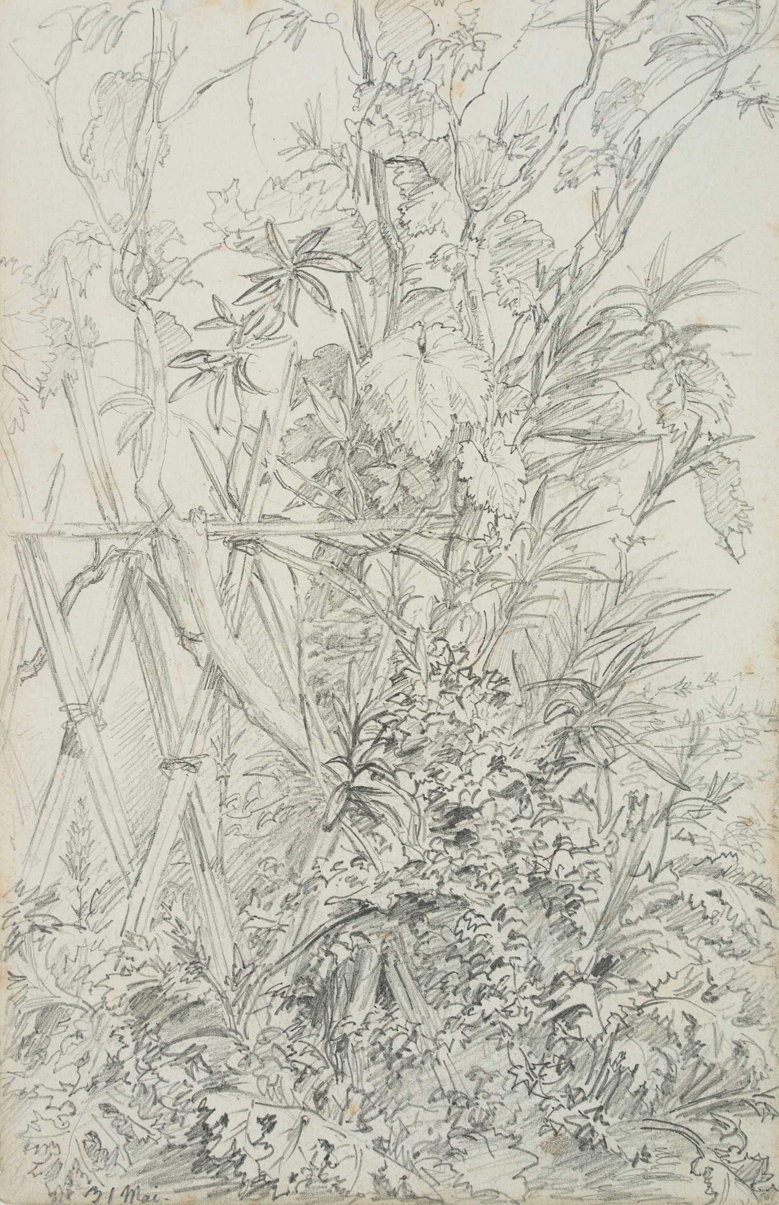 A. HERTEL (1843-1912), Piece of meadow on the trellis, around 1864, Pencil: Albert Hertel (1843 Berlin - 1912 ibid.): Piece of meadow on the trellis, c. 1864, Pencil Technique: Pencil on Paper, mounted on Paper Inscription: lower left inscribed by the artist's hand: "31 Mai".