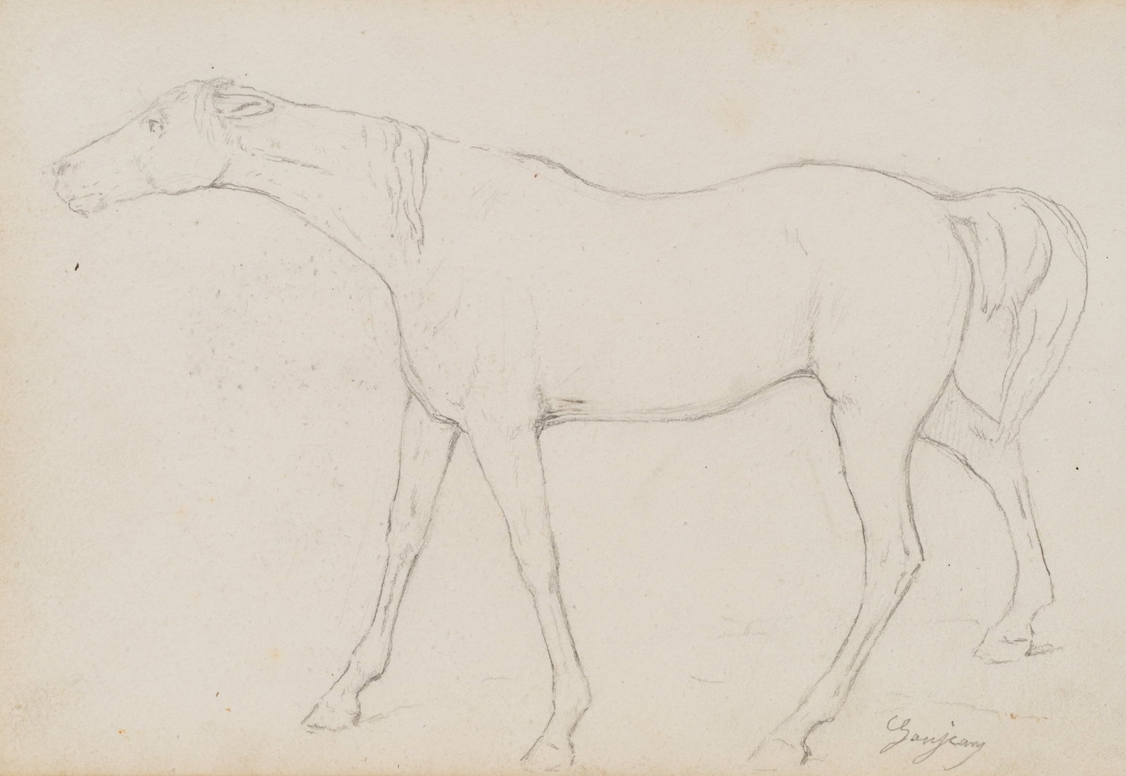 GANJEAN (19th), Study of a horse, full-length, around 1868, Pencil (1 of 5)