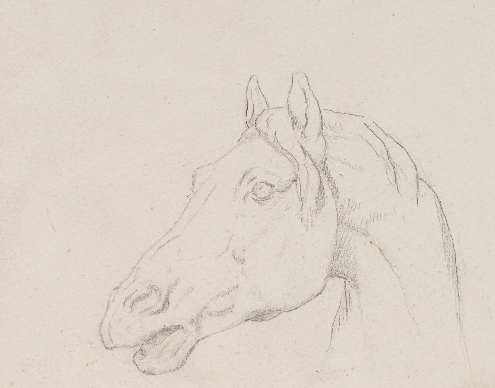 GANJEAN (19th), Study of a Horse’s Head, around 1868, Pencil: Ganjean (19th century): Horse head study Study-like depiction of a horse's head in three-quarter view to the left, c. 1868, Pencil Technique: Pencil on Paper Inscription: Verso signed: "Ganjean". Date
