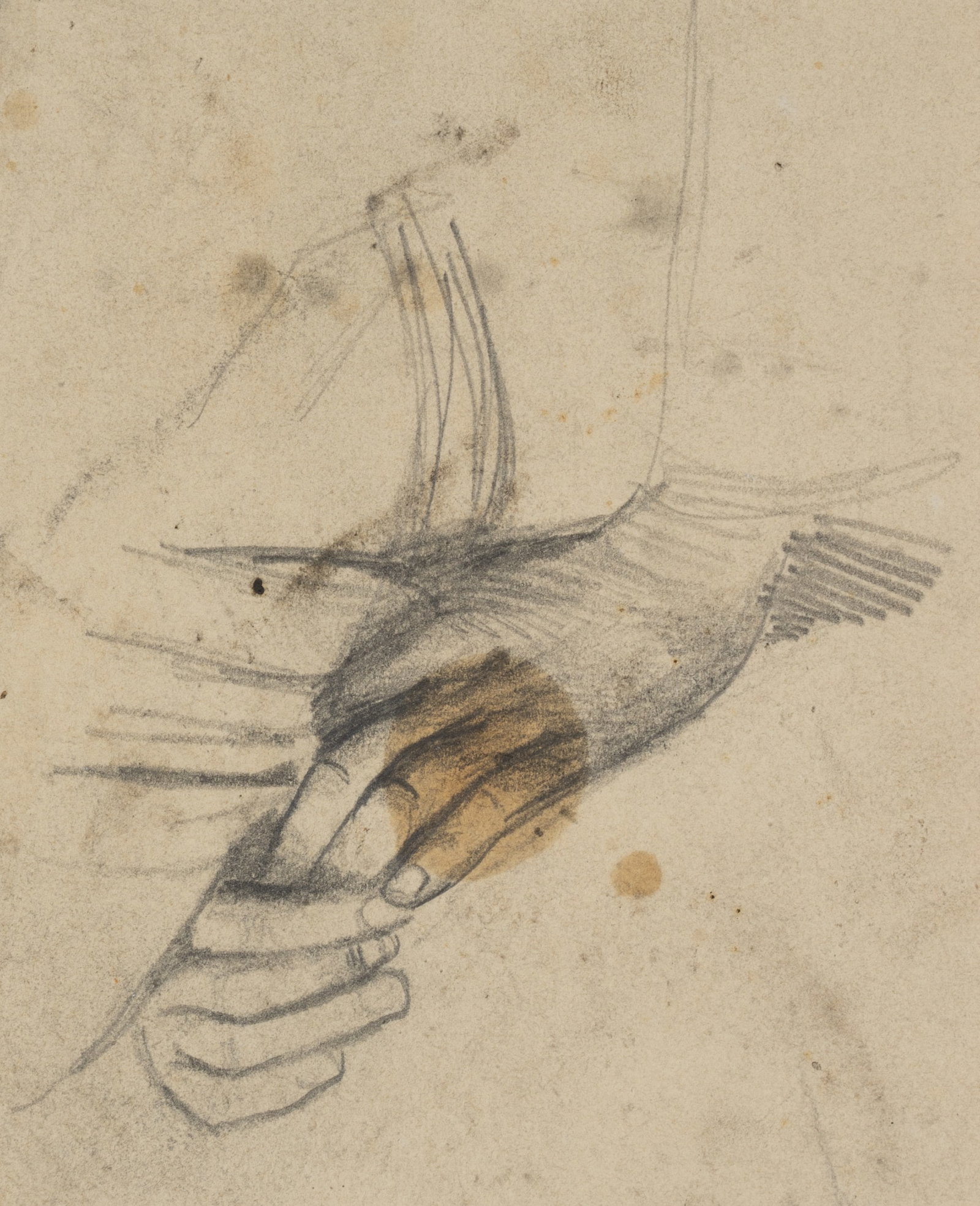E. GEBHARDT (1838-1925), Hand study, around 1890, Pencil (1 of 4)
