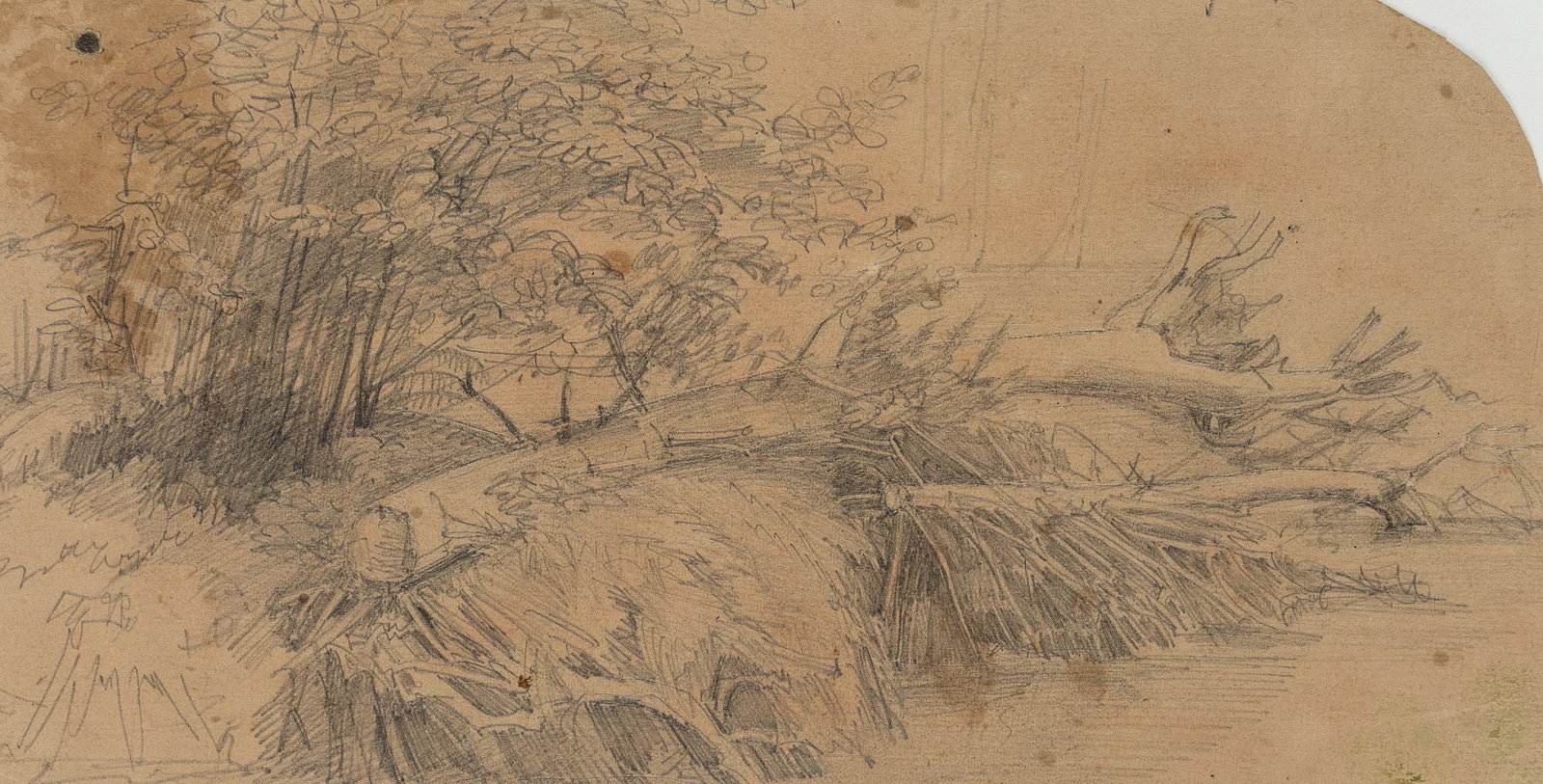 C. KRÜGER (1812-1880), A view of the riverbank, Pencil: Carl Johann Heinrich Krüger (1812 Salzwedel - 1880 Arendsee): Shore impression with driftwood on the river, 19th century, Pencil Technique: Pencil on Paper (brown) Date: 19th century Description: