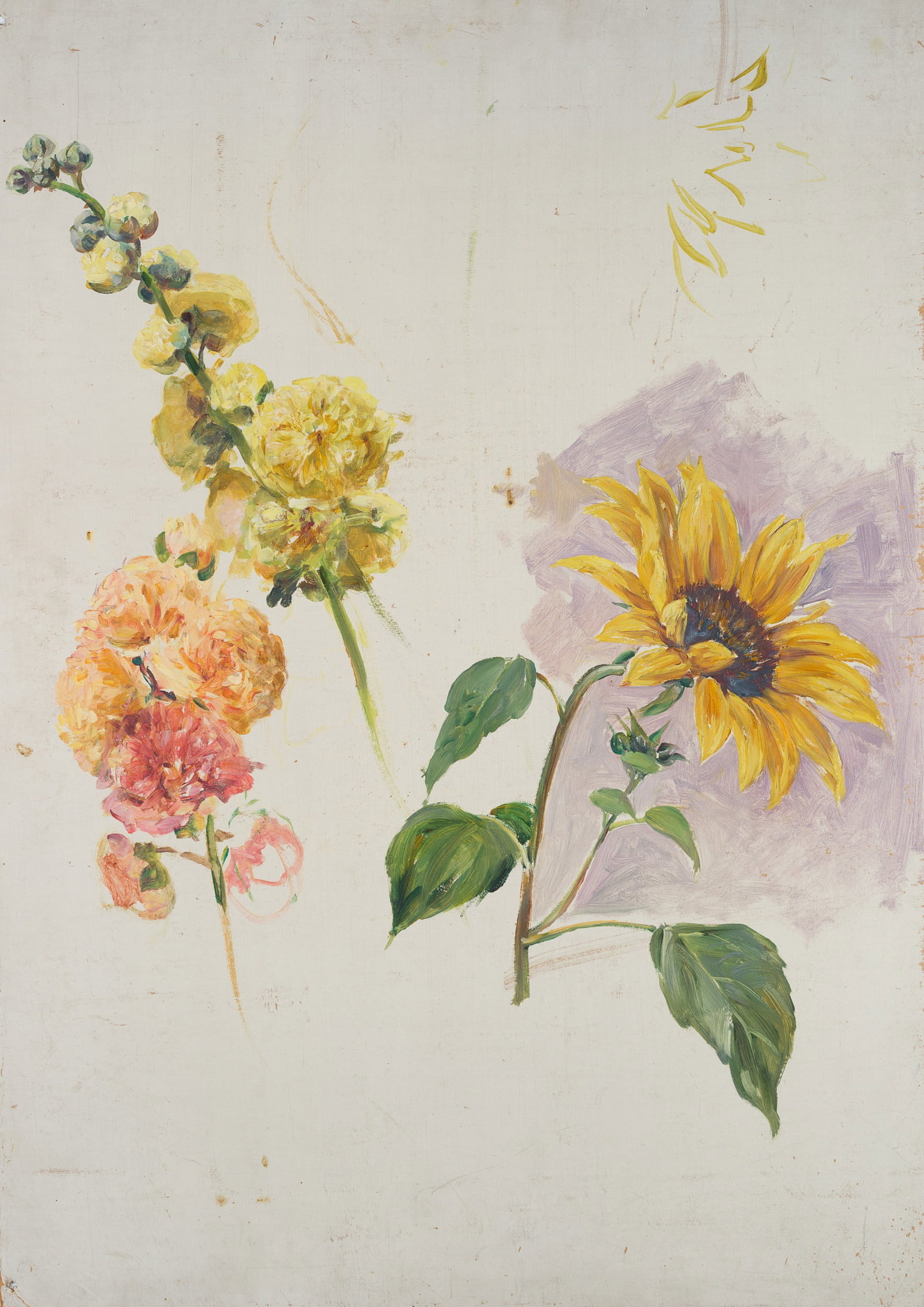 S. NIEDERHÄUSERN (*1856), Sunflower and red and yellow flowers, around 1880, Gouache (1 of 5)