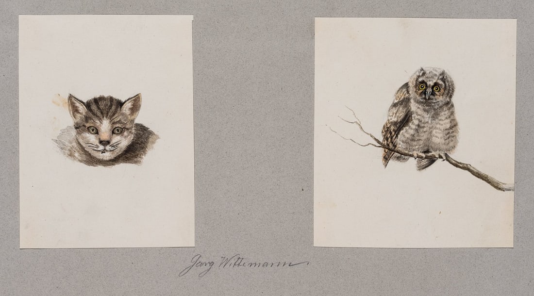 G. WITTEMANN (*1811), Two animal studies: a cat and a tawny owl, around 1870, Watercolor (1 of 8)
