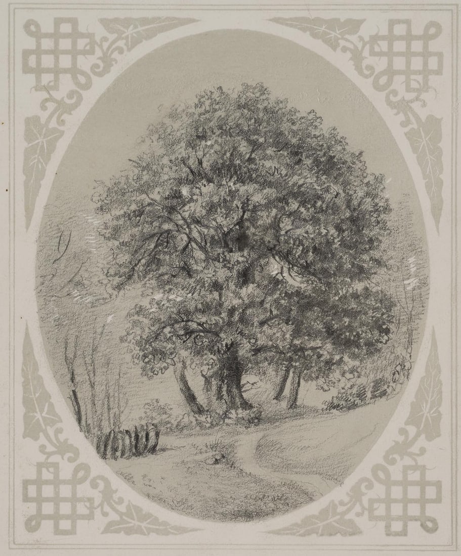 Unknown (19th), Trees by the roadside, around 1850, Pencil (1 of 4)